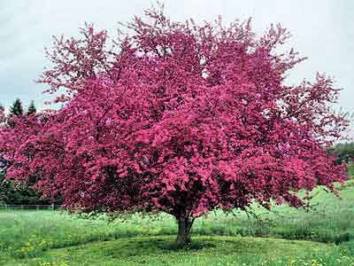 Malé jarní rozjímání