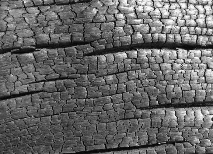 Na Rokycansku mají
stezku o dolování uhlí