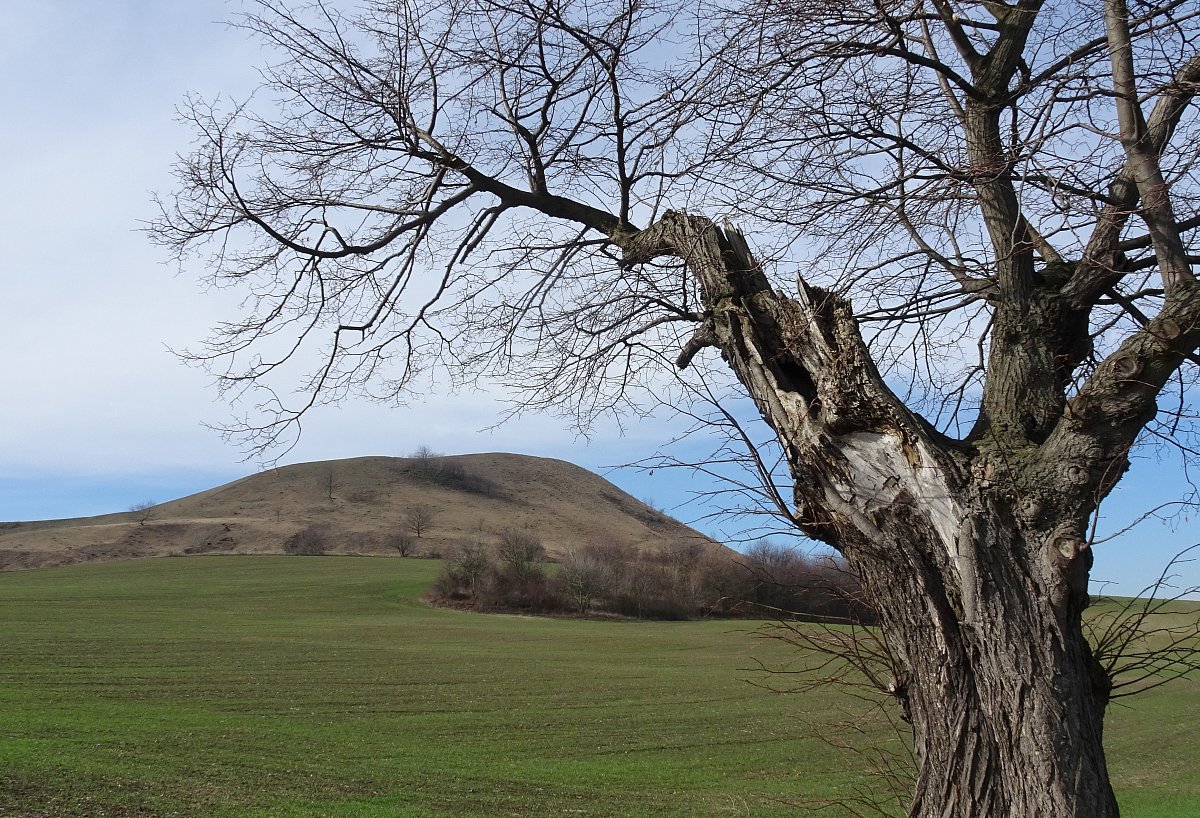 Procházkový Číčov