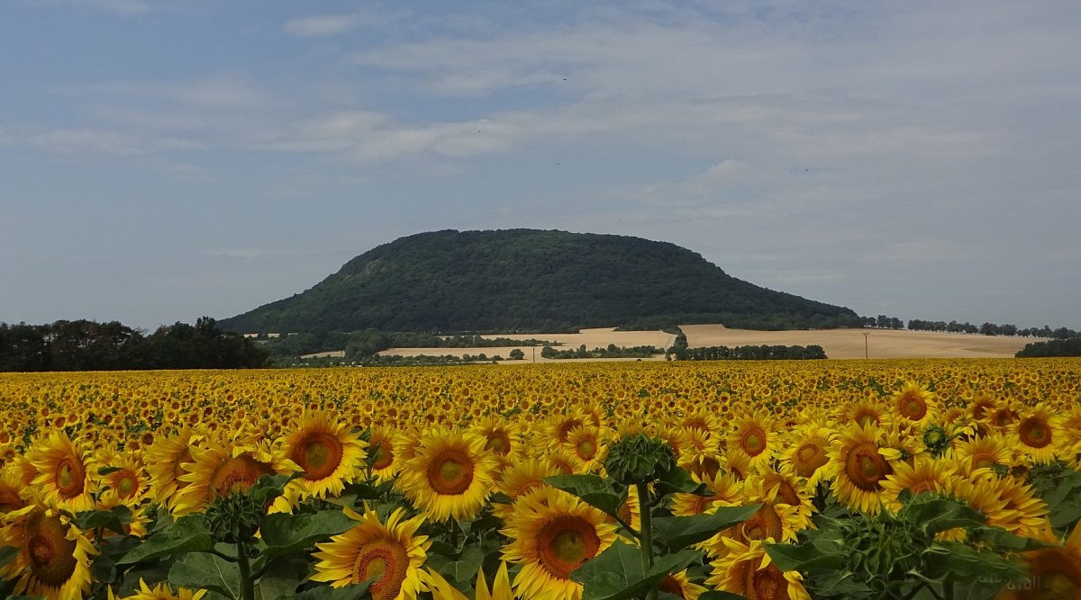 Místo, kam se ráda vracím - Památná hora Říp