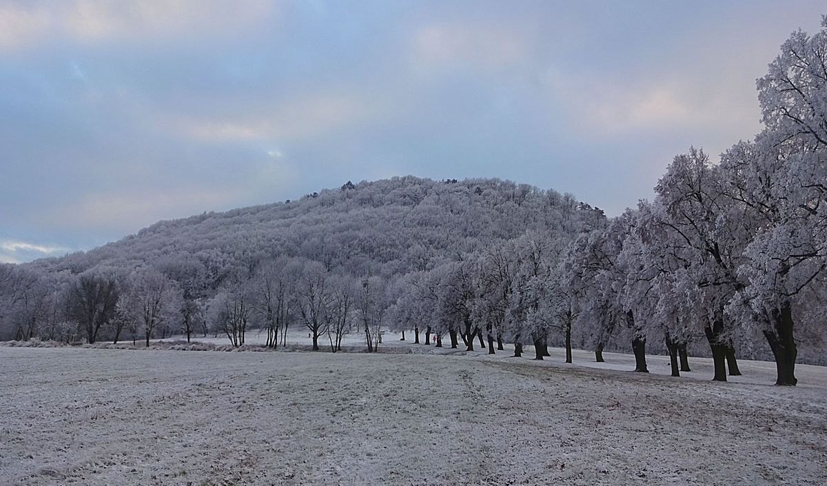 Zimní vycházka na Říp