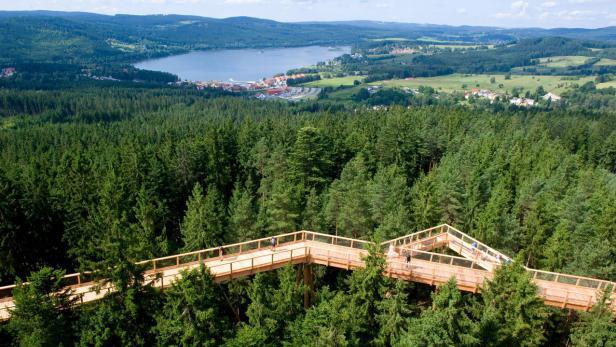 Stezka korunami stromů
chystá Novoroční výstup