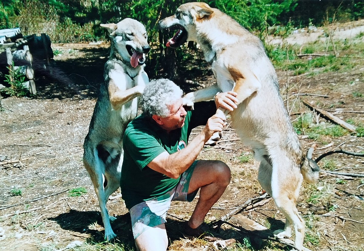Úvaha o lidské (ne)snášenlivosti