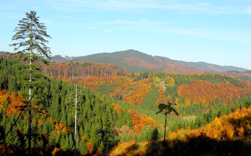 Srdce Valašska, mrkací
koláče a gerontologie