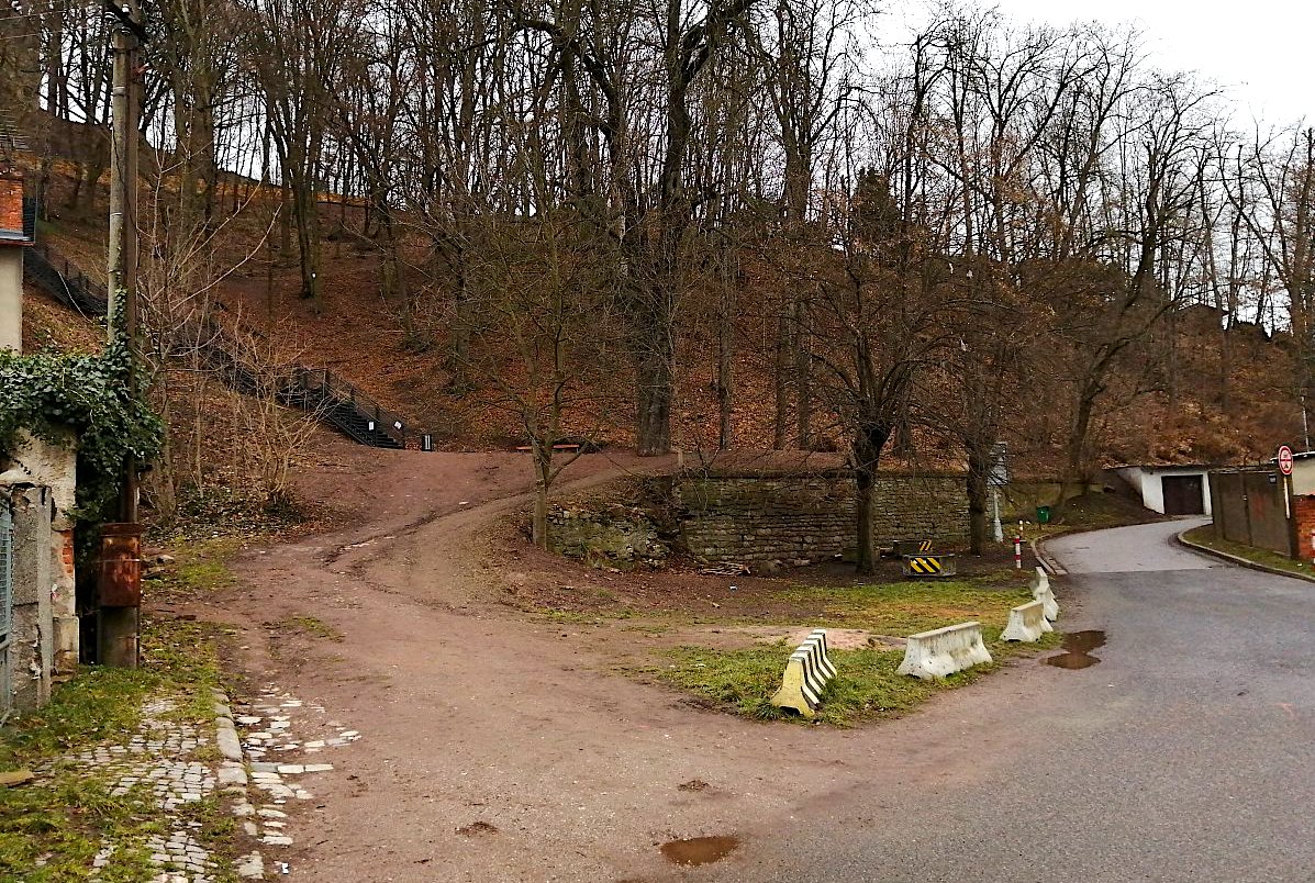 Kůzle a šumák v mém životě