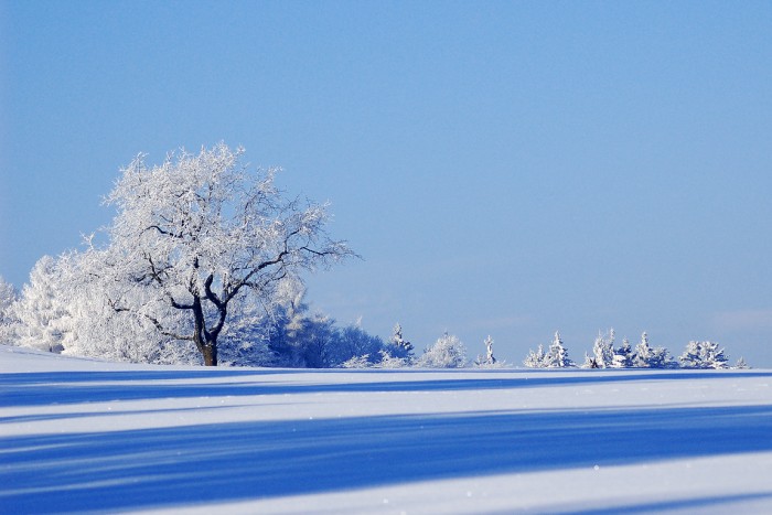 Máme rádi Vánoce, ale
zimu vážně nemusíme