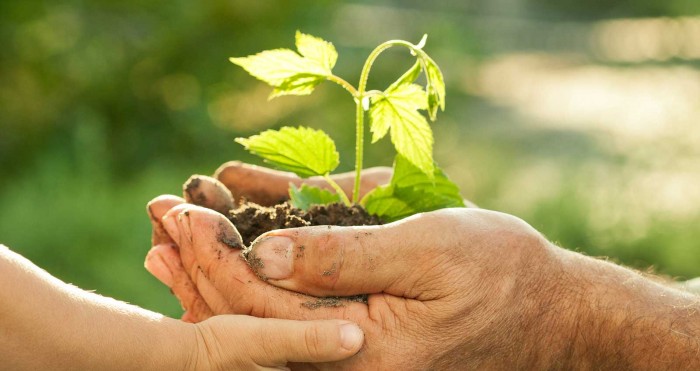 Jak na změny v životě?
Hlavně v klidu a pomalu